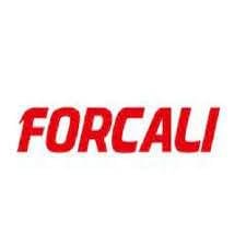 Forcali Castellón Servicio Tecnico Oficial